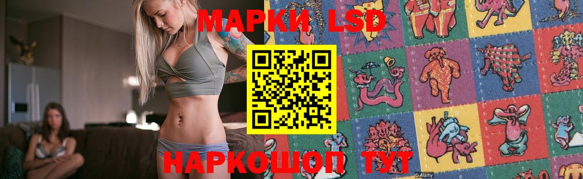 Лсд 25 экстази ecstasy  Вход с VPN  Ноябрьск 