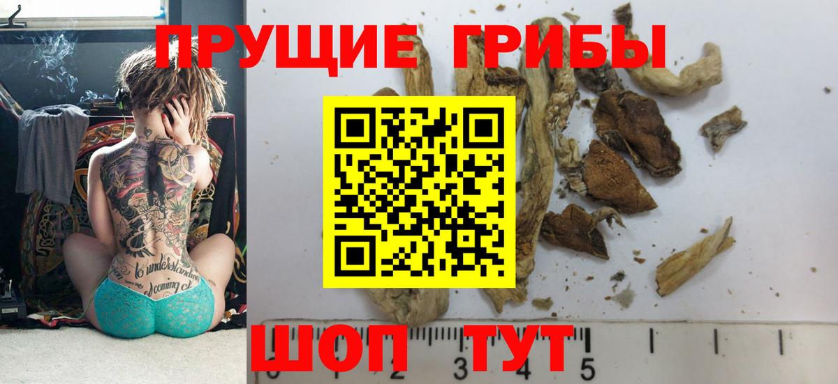 Ноябрьск  Псилоцибиновые грибы MAGIC MUSHROOMS  цена наркотик  Вход с VPN 