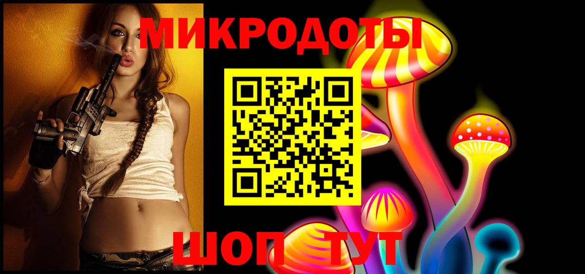 Псилоцибиновые грибы Cubensis Ноябрьск